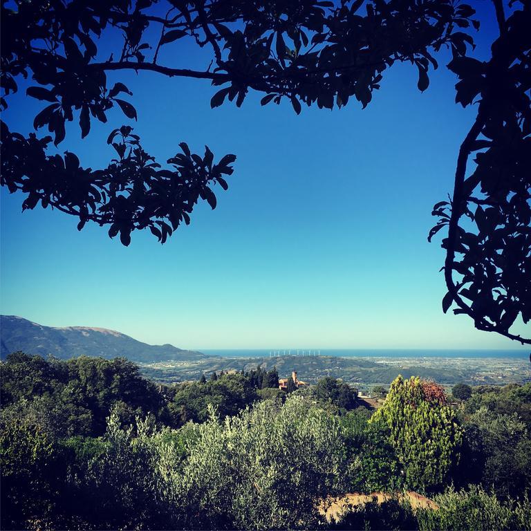 Casale Degli Ulivi Prestige Bed and Breakfast Altavilla Silentina Exteriör bild