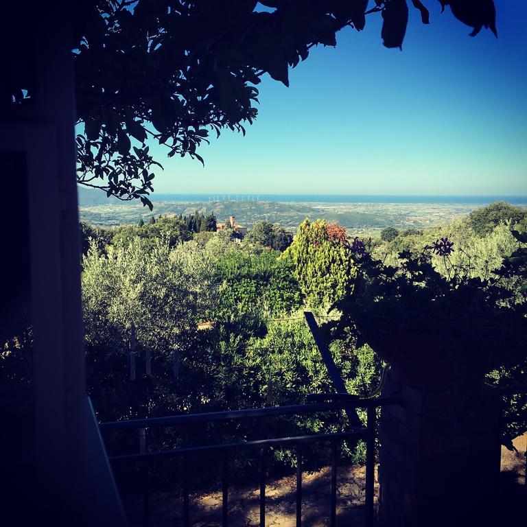 Casale Degli Ulivi Prestige Bed and Breakfast Altavilla Silentina Exteriör bild